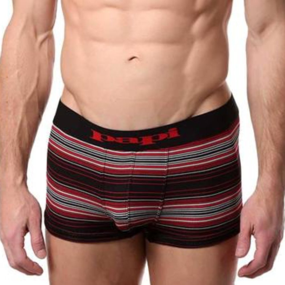🆕 Papi Micro Mesh Brazilian Trunks